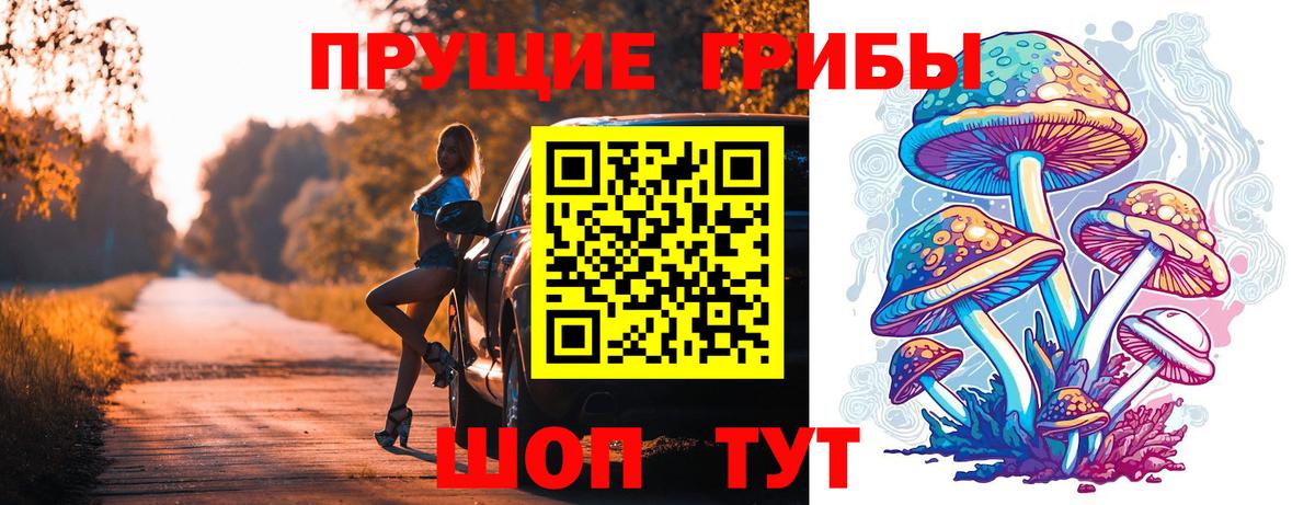 Псилоцибиновые грибы прущие грибы  Вход с VPN  Псилоцибиновые грибы прущие грибы  Абинск 